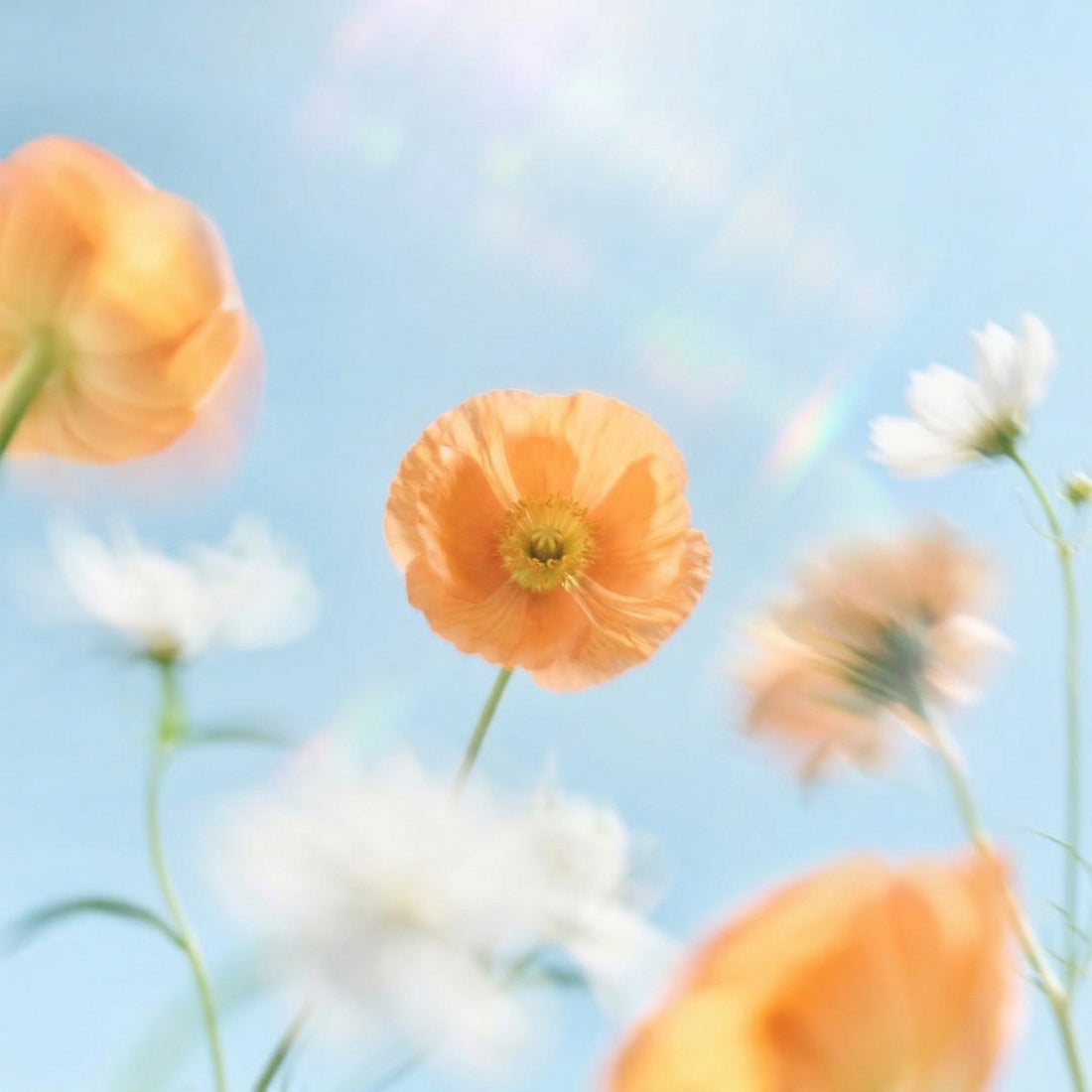 Why Gentle Care Matters During Postpartum Recovery